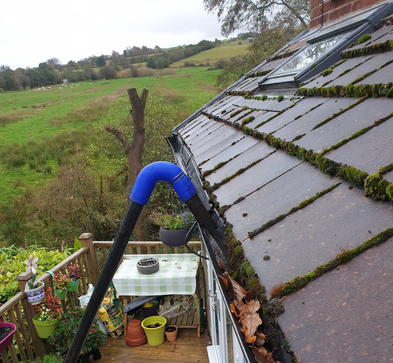Guttering Newham 2 Benefits of Professional Guttering Services
