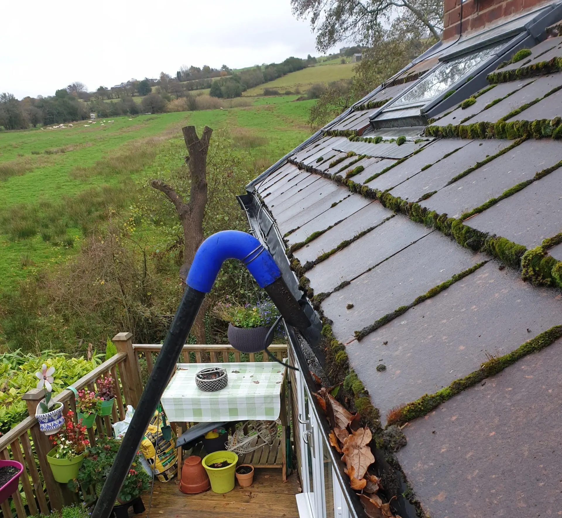 Benefits of Professional Guttering Services