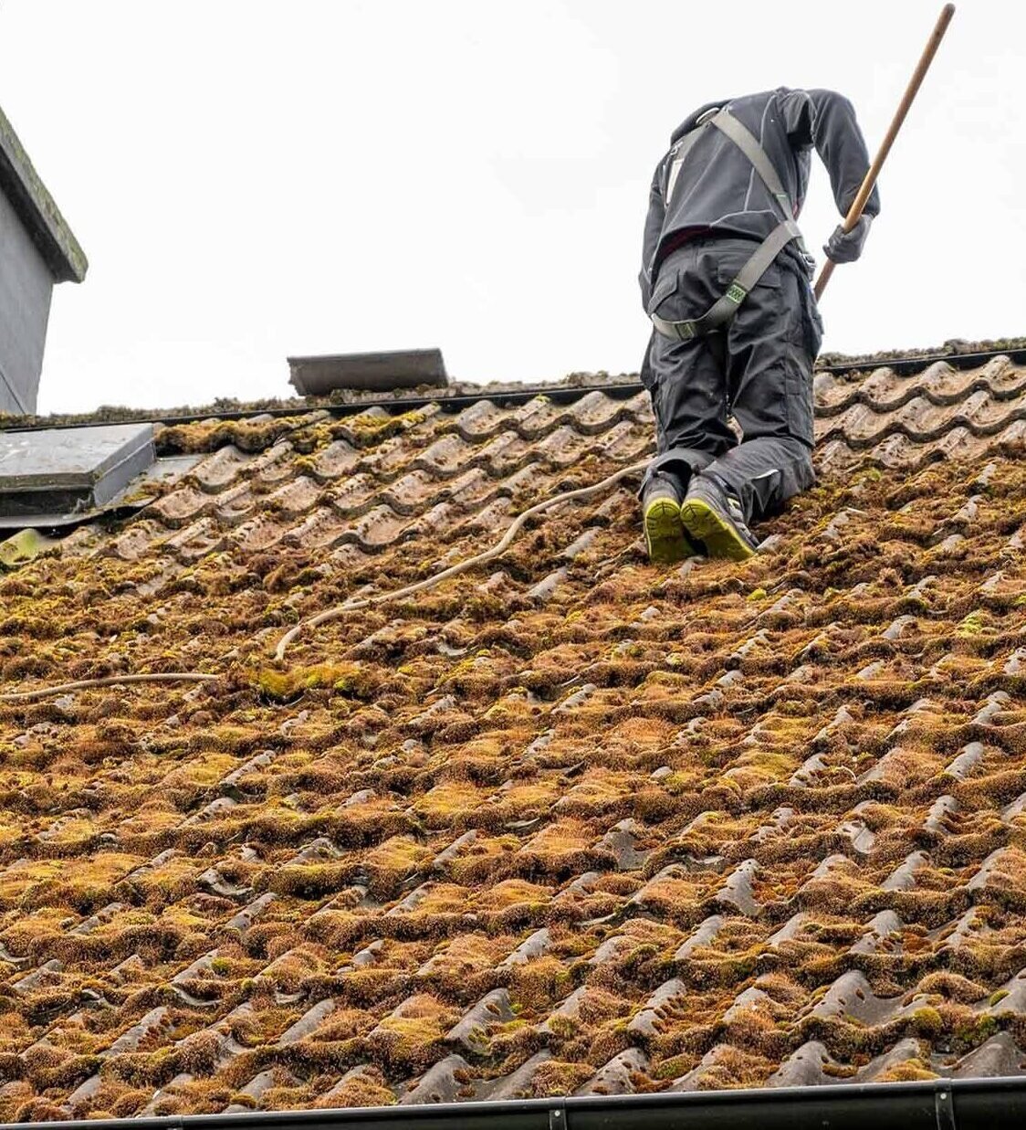 Roof Protection & Maintenance Benefits in Newham